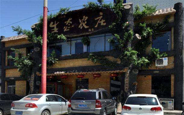 仿真植物植物裝飾的農(nóng)家樂門頭