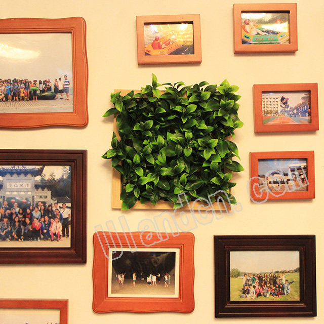 (yu)mUlandcnֲң