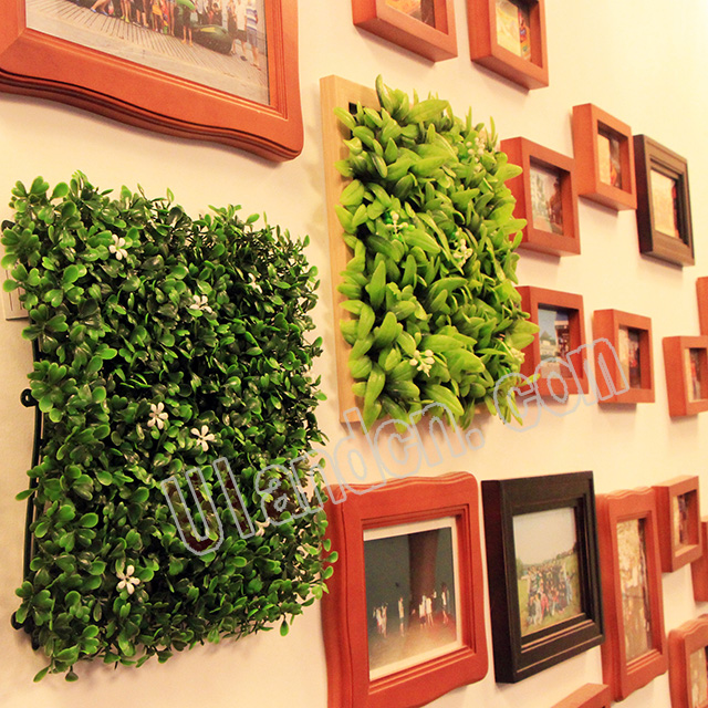 (yu)mUlandcnֲң