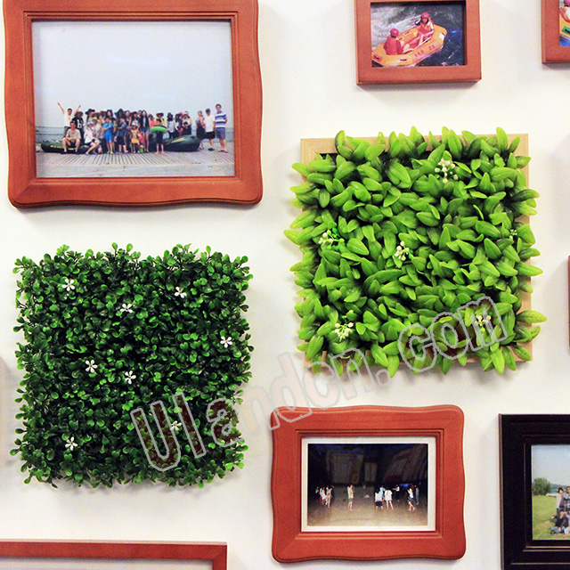 (yu)mUlandcnֲ