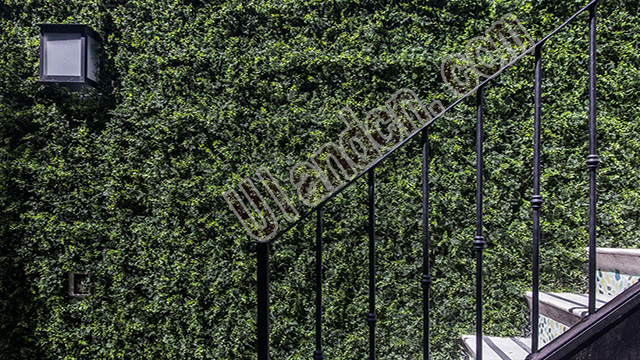 (yu)mUlandcnֲң