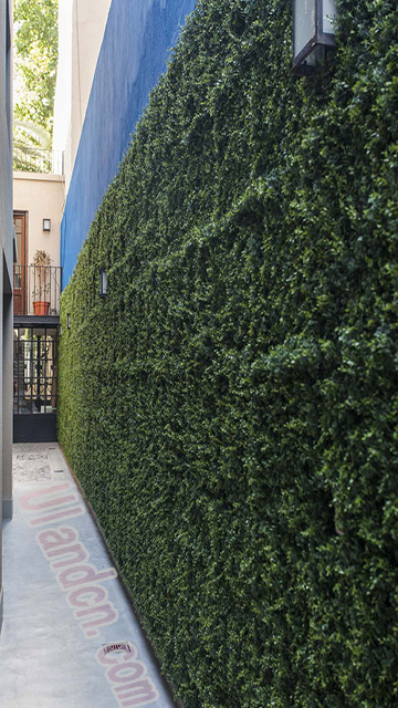 (yu)mUlandcnֲң