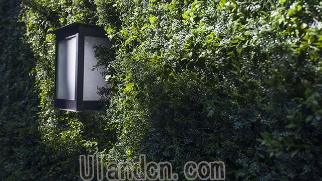 (yu)mUlandcnֲ