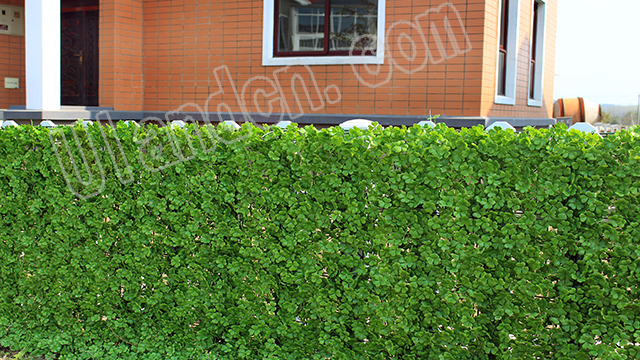 (yu)mUlandֲ