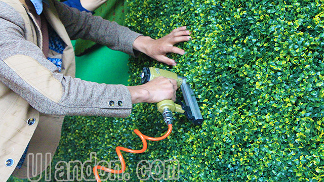 (yu)mUlandֲ(zhun)