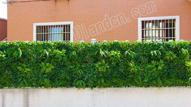 (yu)mUlandcnֲ(zhun)