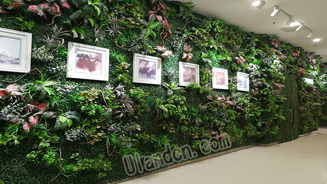 (yu)mUlandֲ