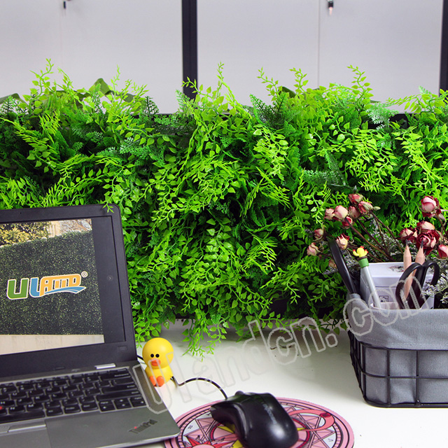 (yu)mUlandcn,ֲ(zhun)