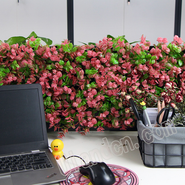 (yu)mUlandcn,ֲ(zhun)