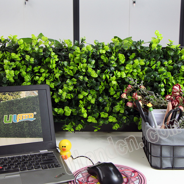 (yu)mUlandcn,ֲ(zhun)