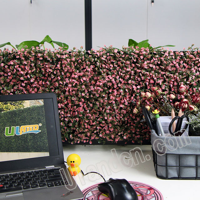 (yu)mUlandcn,ֲ(zhun)