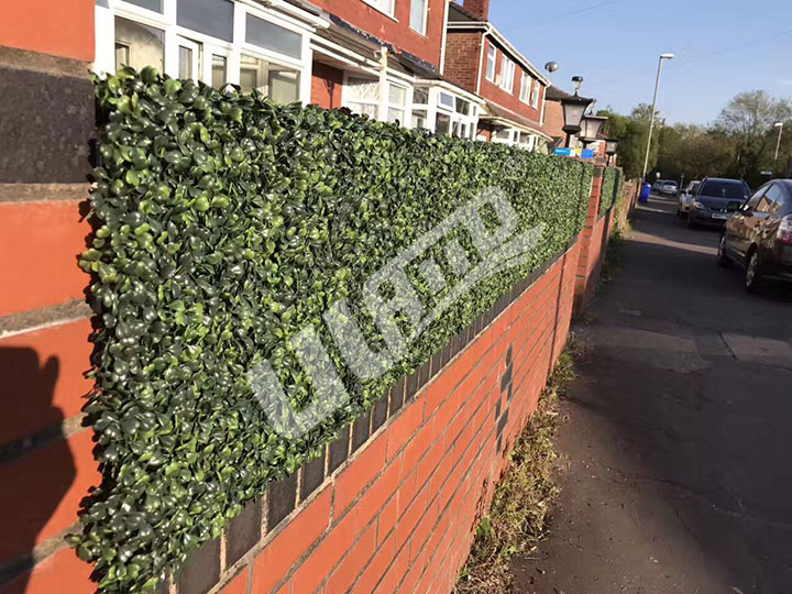 圍墻綠化效果圖
