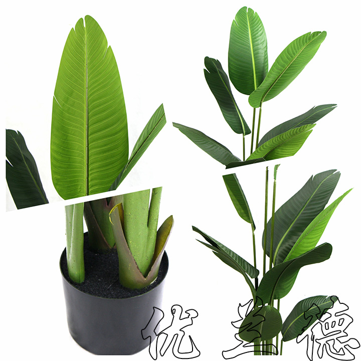仿真小盆栽樹旅人蕉